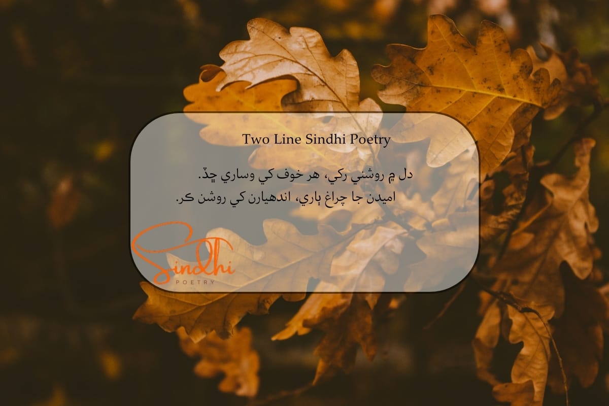 Sindhi 2 line Shayari